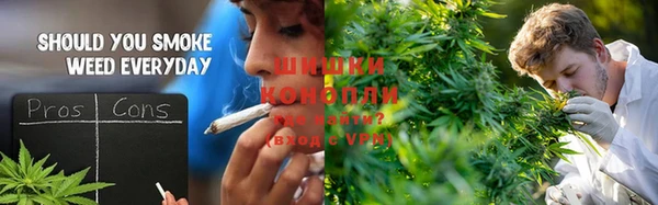 PSILOCYBIN Балабаново