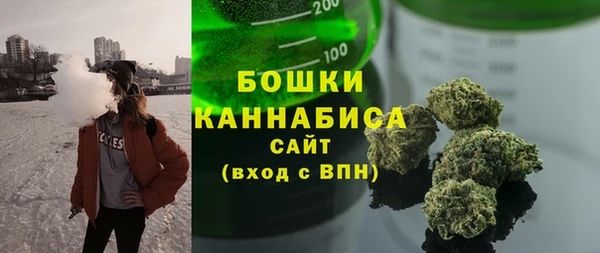 PSILOCYBIN Балабаново