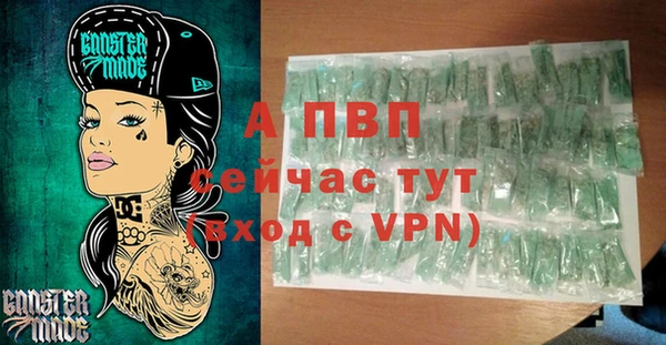 PSILOCYBIN Балабаново