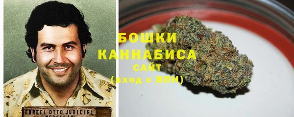 PSILOCYBIN Балабаново