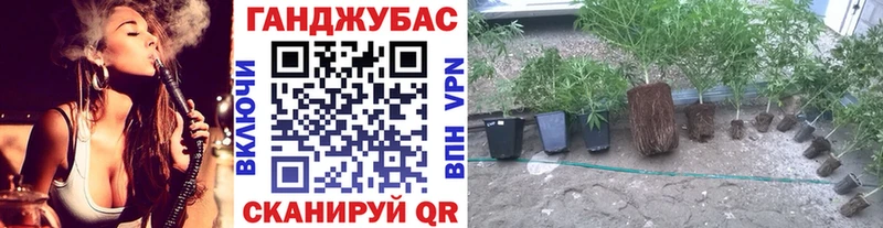 Бошки марихуана сатива  дарнет шоп  Ликино-Дулёво 